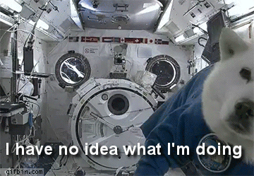 Reaction GIFs We feel you, doggo.